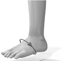 measurement of ankle