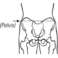 Please indicate left or right.  1 cm = 0,3937 inch