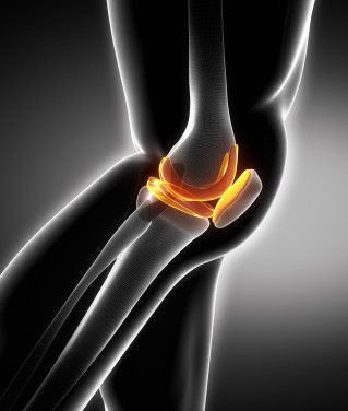 Sports ligament knee brace Genu Control Thuasne