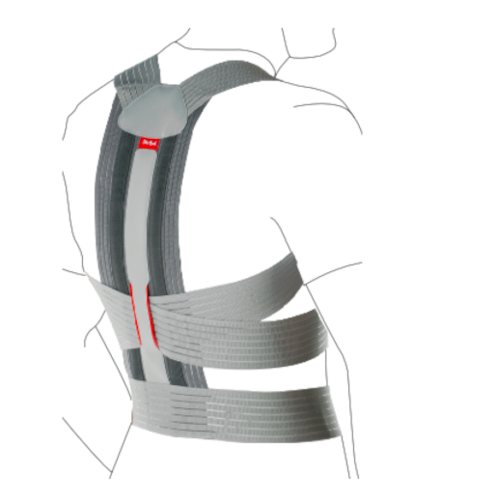 Otto Bock Dorso Carezza Posture 50R49 supports a correct back posture
